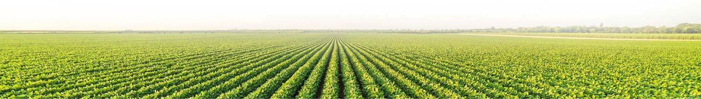 farm-landscape