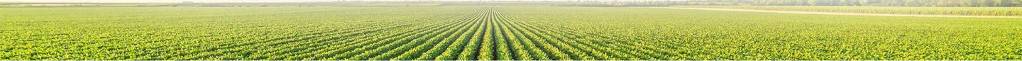 farm-lanscape