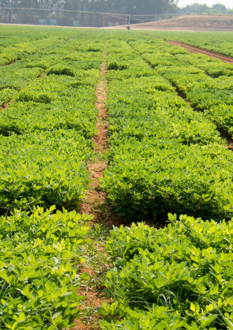 farm-photo