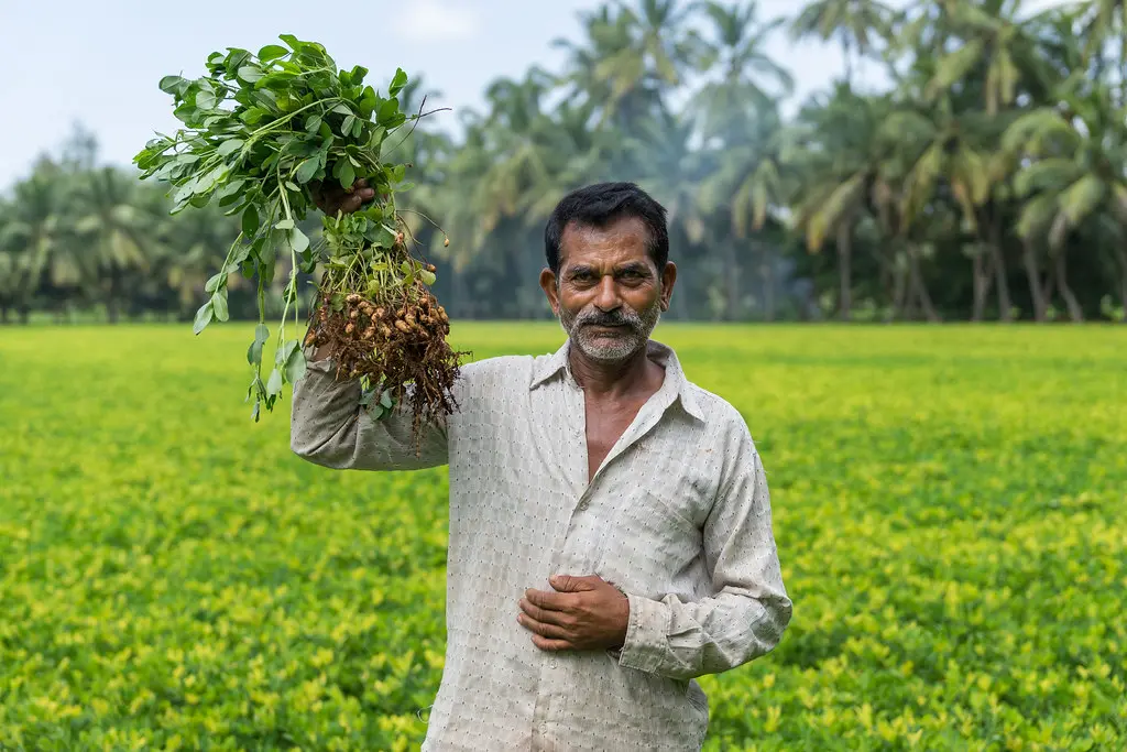 farmer